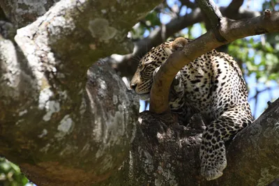 DSC_3975 (Large).JPG